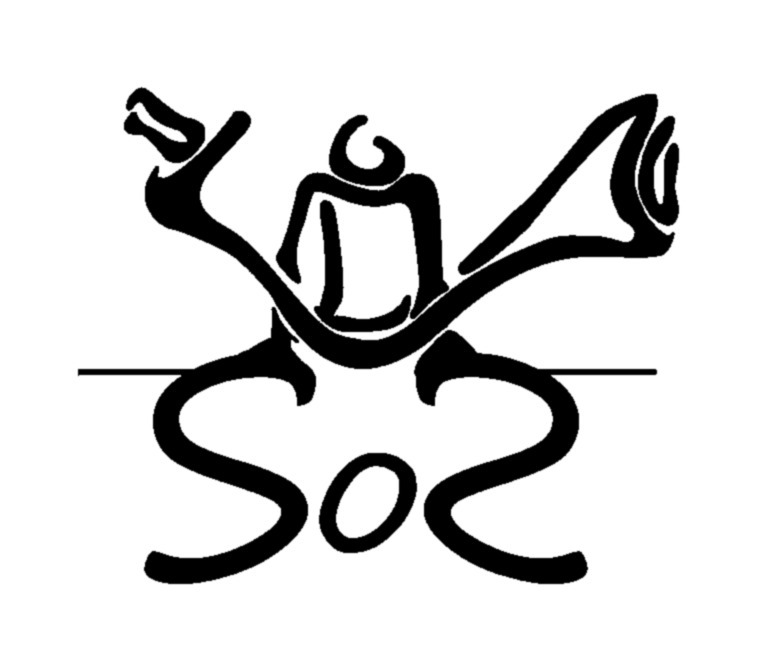 Logo de l’association Shock of Street – Pau Parkour